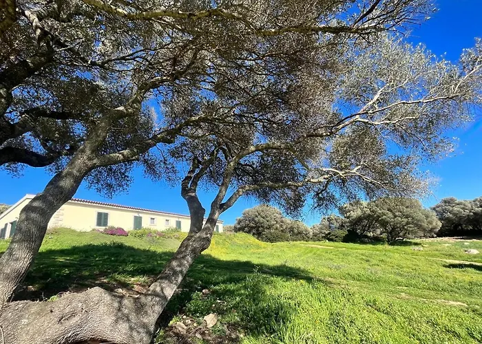 La Striscia Larga